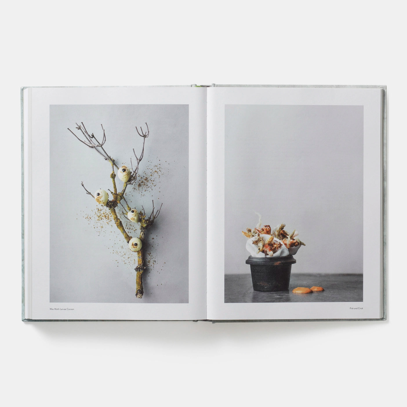 On Eating Insects: Essays, Stories and Recipes
Nordic Food Lab