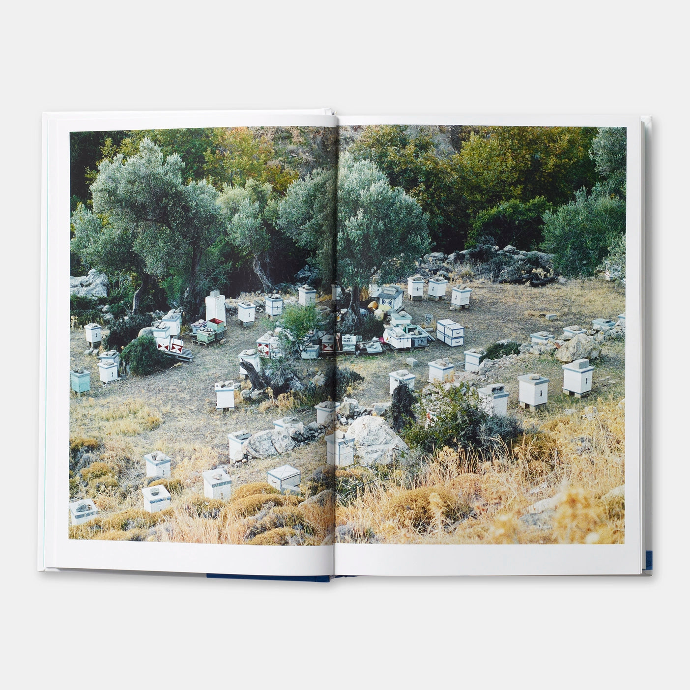 Greece: The Cookbook
Vefa Alexiadou