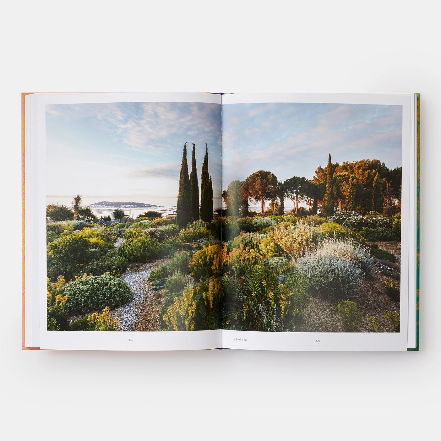 Wild: The Naturalistic Garden
Noel Kingsbury, with photography by Claire Takacs