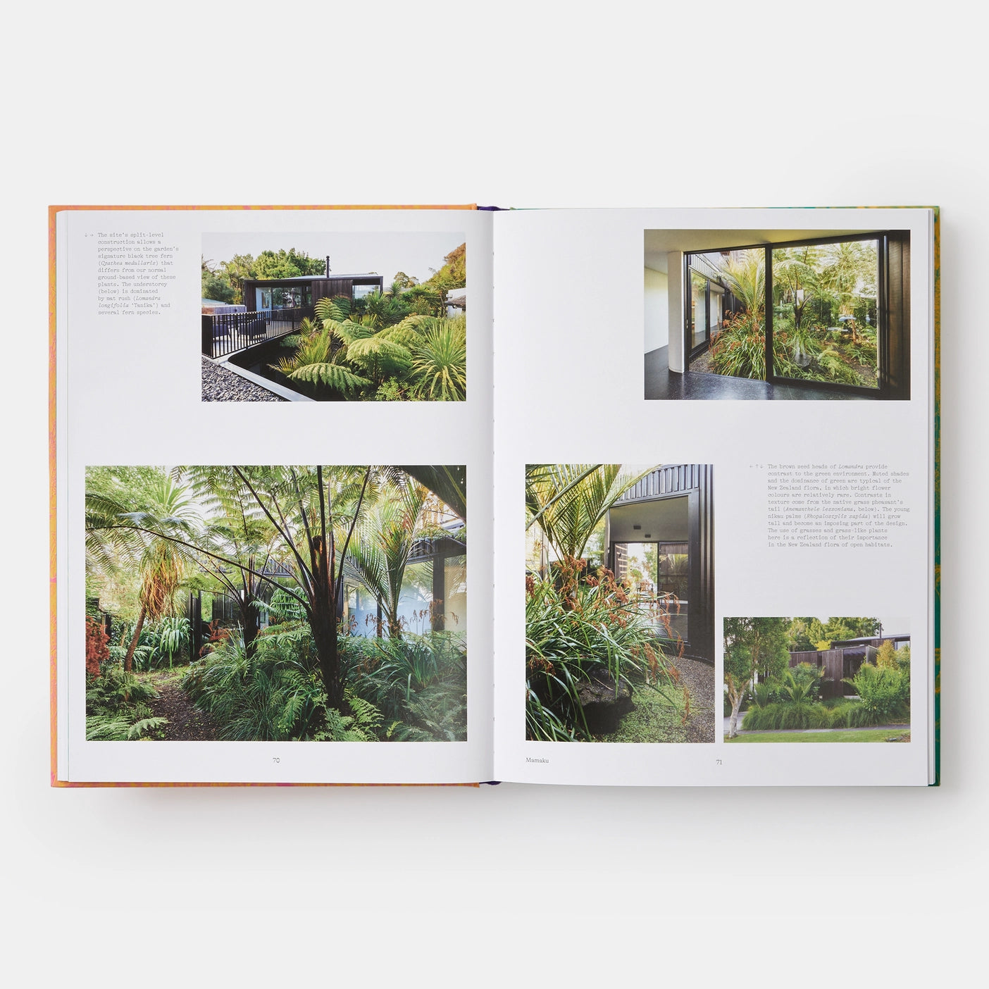 Wild: The Naturalistic Garden
Noel Kingsbury, with photography by Claire Takacs